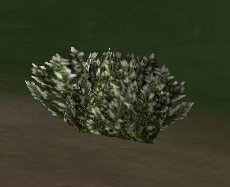 prop-bush_rotted6.jpg