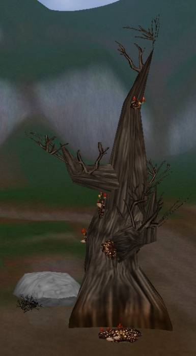 cl-dead-rotted_forest3.jpg