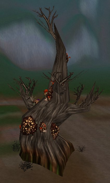 cl-dead-rotted_forest5.jpg