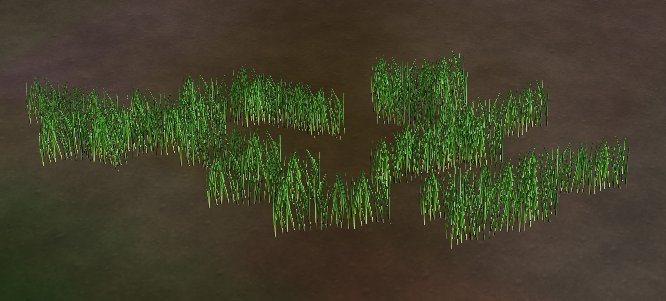 cl-swamp-bullrushes2.jpg