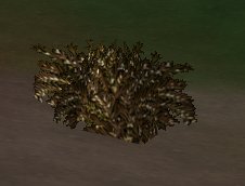 prop-bush_rotted5.jpg