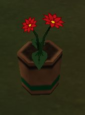 cl-potted_plant1.jpg