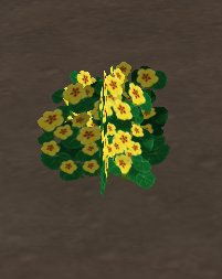 prop-flowers-nasturtium.jpg