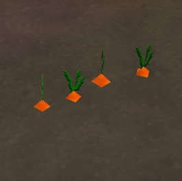 prop-garden_carrot.jpg