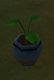 cl-potted_plant5.jpg