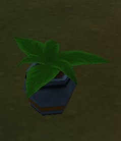 cl-potted_plant6.jpg
