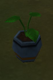 cl-potted_plant4.jpg
