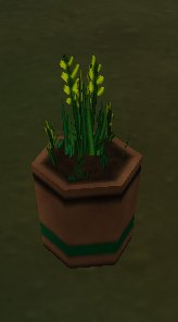 cl-potted_plant3.jpg