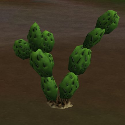 prop-cactus3.jpg