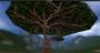 worldassets:trees:prop-acacia_tree5.jpg