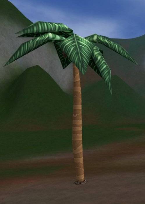 prop-palm-tree1.jpg