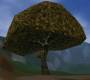 worldassets:trees:prop-sick-forest_tree2.jpg