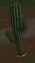 worldassets:plants:prop-cactus1.jpg