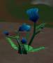 worldassets:plants:prop-giantflowers9.jpg