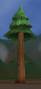 worldassets:trees:prop-pine_forest_tree3.jpg
