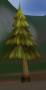 worldassets:trees:prop-pine-sick_tree1.jpg