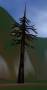 worldassets:trees:prop-burnt_pine1.jpg