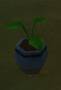 cl:cl-potted_plant5.jpg