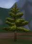 worldassets:trees:prop-tree5.jpg