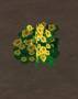 worldassets:plants:prop-flowers-nasturtium.jpg