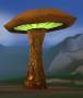 worldassets:mushrooms:prop-giant_mushroom-rotted3.jpg