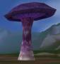 worldassets:mushrooms:prop-giant_mushroom3.jpg