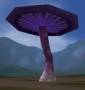 worldassets:mushrooms:prop-giant_mushroom2.jpg