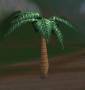 worldassets:trees:prop-palm-tree5.jpg