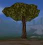 worldassets:trees:prop-giant_forest_tree5.jpg