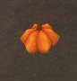 worldassets:plants:prop-pumpkin1.jpg