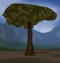 worldassets:trees:prop-giant_tree1.jpg