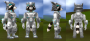 customsets:snowguard:preview.png