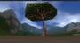worldassets:trees:prop-acacia_tree4.jpg