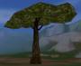 worldassets:trees:prop-giant_tree2.jpg