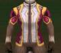 basearmour:chest:armor-cloth-male-fancy1.jpg
